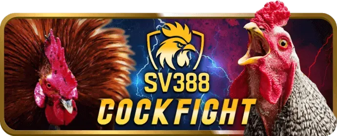 Giới thiệu về cam kết an toàn của 678vip Casino